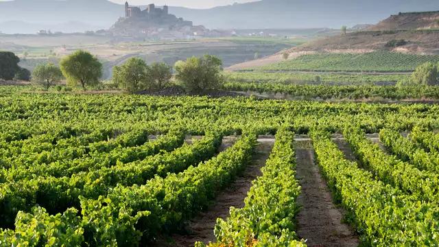 Scopri La Rioja e la sua famosa tradizione enologica