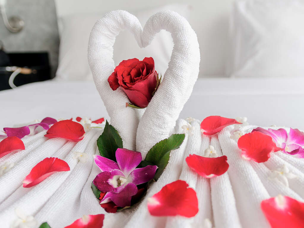 Séjour romantique 4* dans la forêt de Soignes proche de Bruxelles - 4* - 23