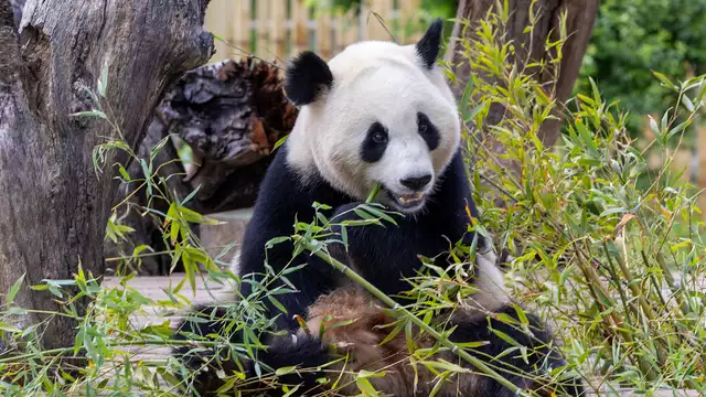 Alójate en pleno centro de Madrid con entradas para el Zoo Aquarium