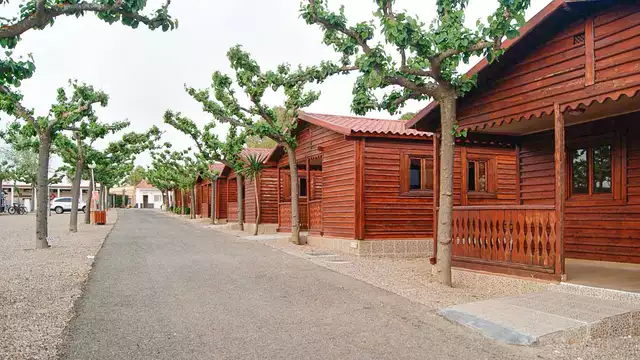 Descubre Córdoba desde un bonito camping con piscina y botella de cava de regalo