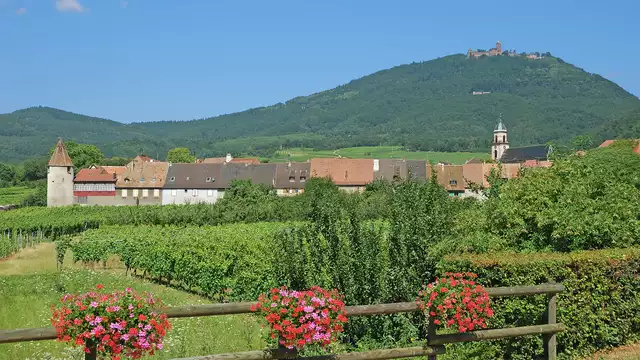 Estancia gastronómica al pie del castillo de Haut-Koenigsbourg