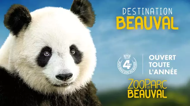 Pause bien-être et culturelle, avec entrées au zoo de Beauval incluses