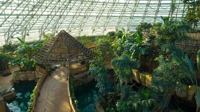 Escapade à Blois avec visite du ZooParc de Beauval (40 minutes)