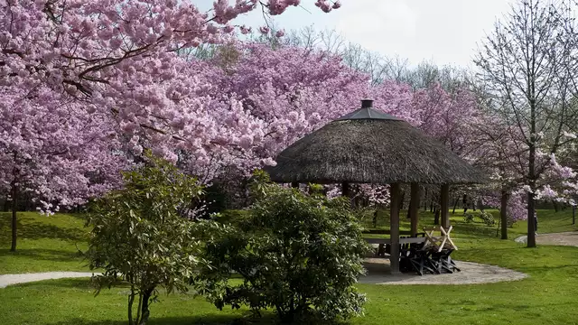 Verblijf met bezoek aan attractiepark Plopsa Indoor