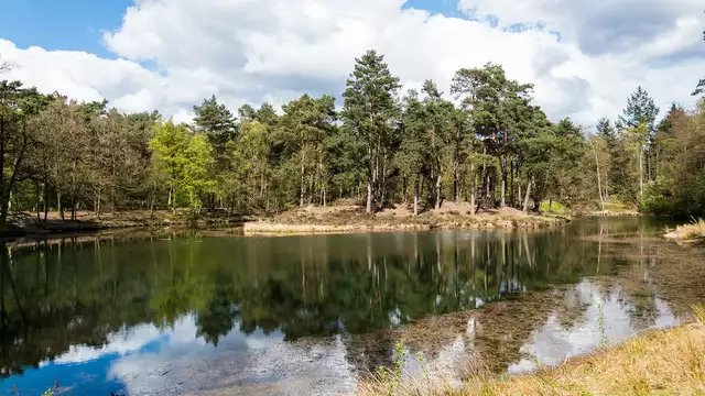 Vive el verano en Utrecht: naturaleza, tranquilidad y una cena de 3 platos