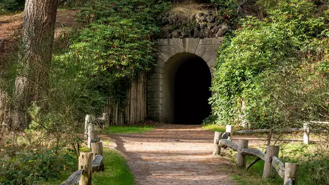 Alojamiento acogedor en el corazón del Parque Nacional Utrechtse Heuvelrug