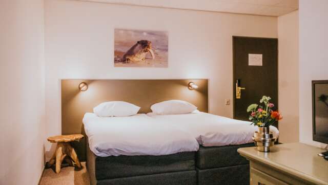 chambre double confort 