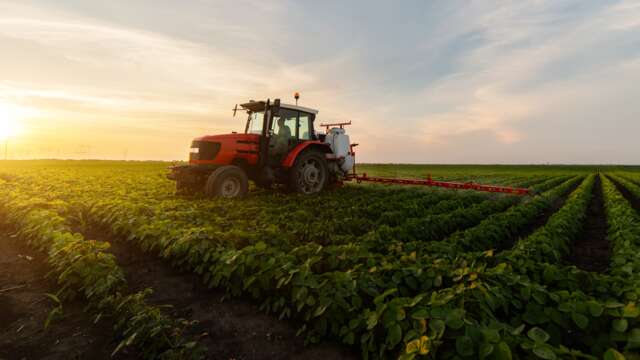 Visita guiada para 2 adultos