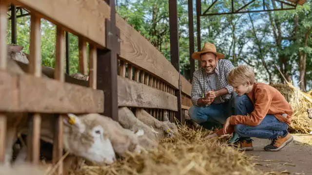 Visita la granja Can Pins y conoce su funcionamiento de la mano de granjeros locales