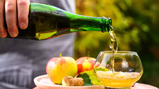 Estancia en Begur con visita y degustación de jugos naturales y sidra