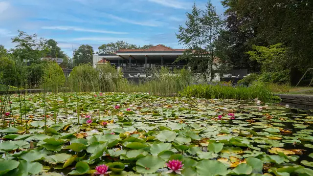 Ontdek het groene hart van Twente met een culinair verblijf in Boekelo