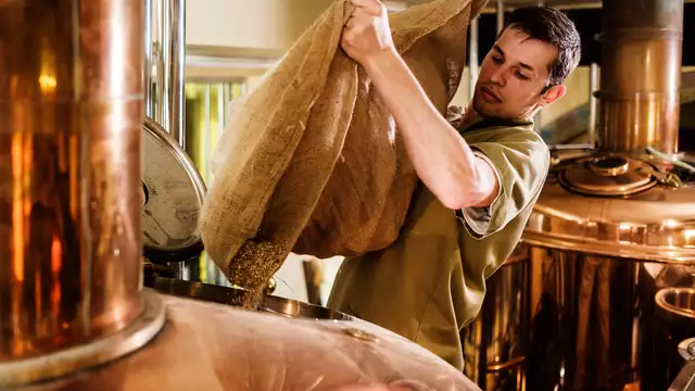 Visita guiada al molino de arroz y degustación de cerveza artesanal