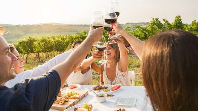 Escapada a un hotel 5* en Xerta con visita a viñedos y degustación de vino