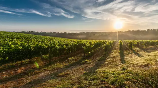 Vacances romantiques en Toscane pour 2 personnes avec dîner toscan typique et une bouteille de vin C