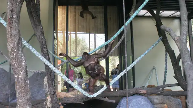 Verblijf in Barcelona met bezoek aan de dierentuin