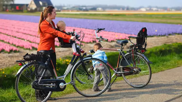 Alkmaar in bloei: suiteverblijf met smaakvolle gastronomie