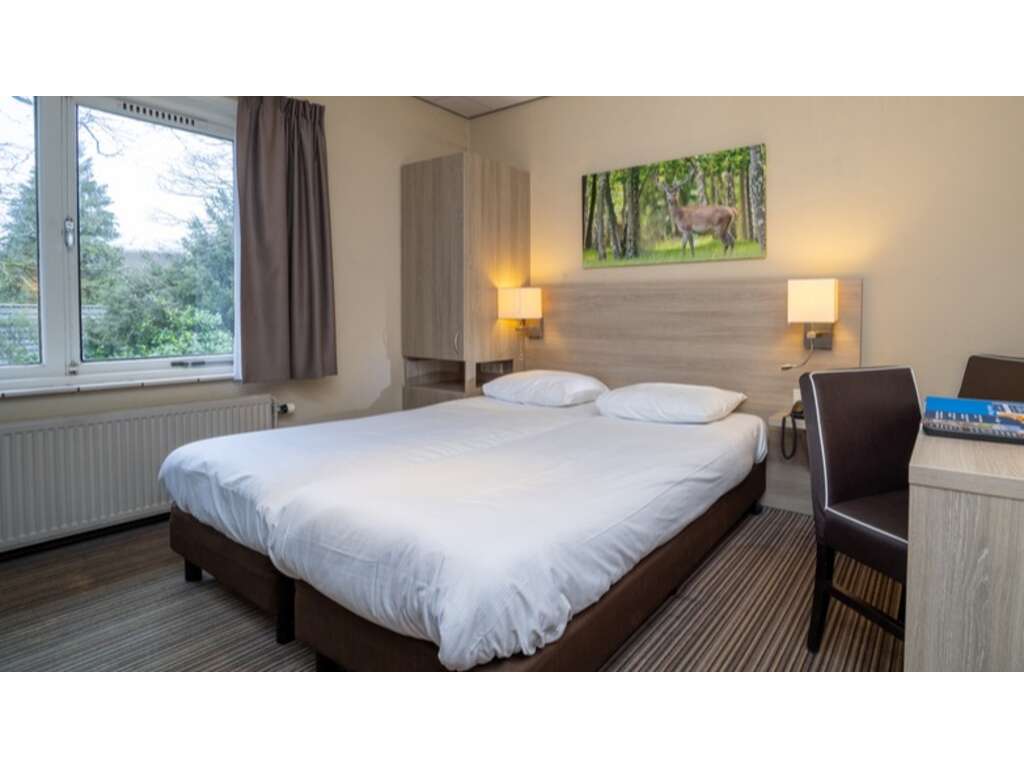 Passe la nuit dans la région boisée de la Veluwe - 3* - 12