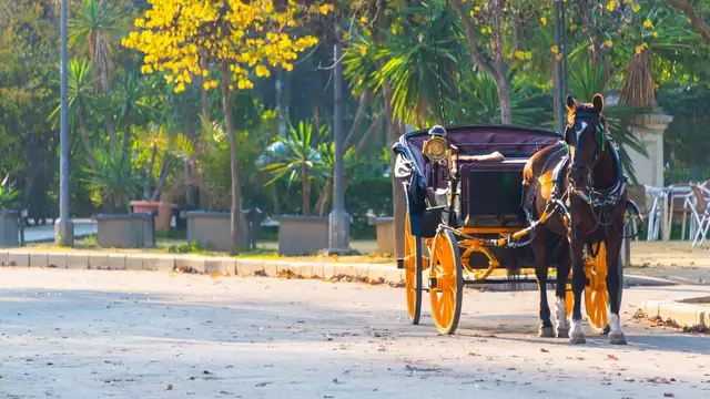 Como reyes en Sevilla con paseo en coche de caballos, bebida de bienvenida, parking gratis y más!