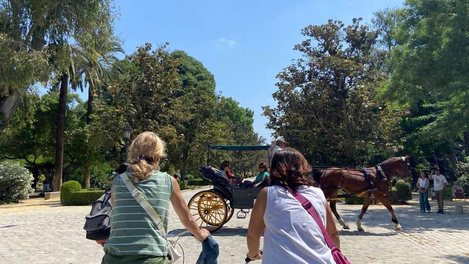 HOTEL PORCEL TORNEO
