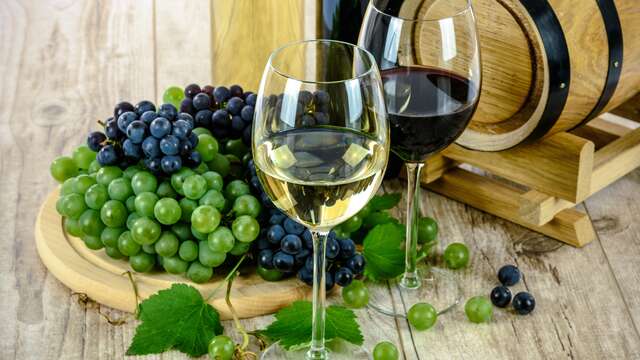 Saborea el vino en Sevilla