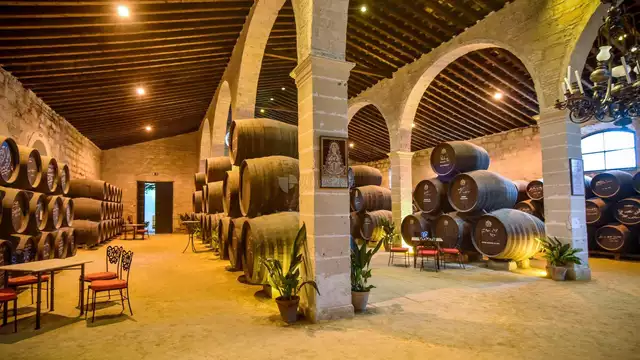 Découvrez Séville et son goût pour le vin