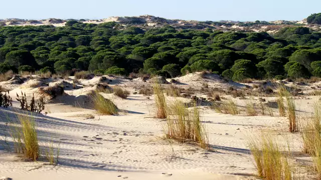 Agréable séjour à Séville avec promenade à cheval à Doñana