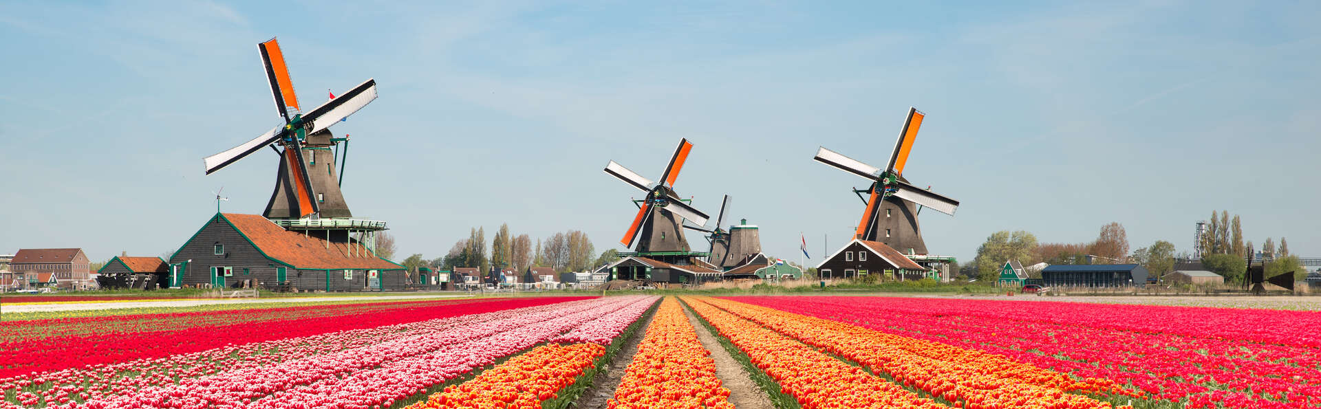Week-end avec visite guidée des moulins de Zaanse Schans