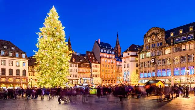 Découvrez l'art du vin près de Strasbourg