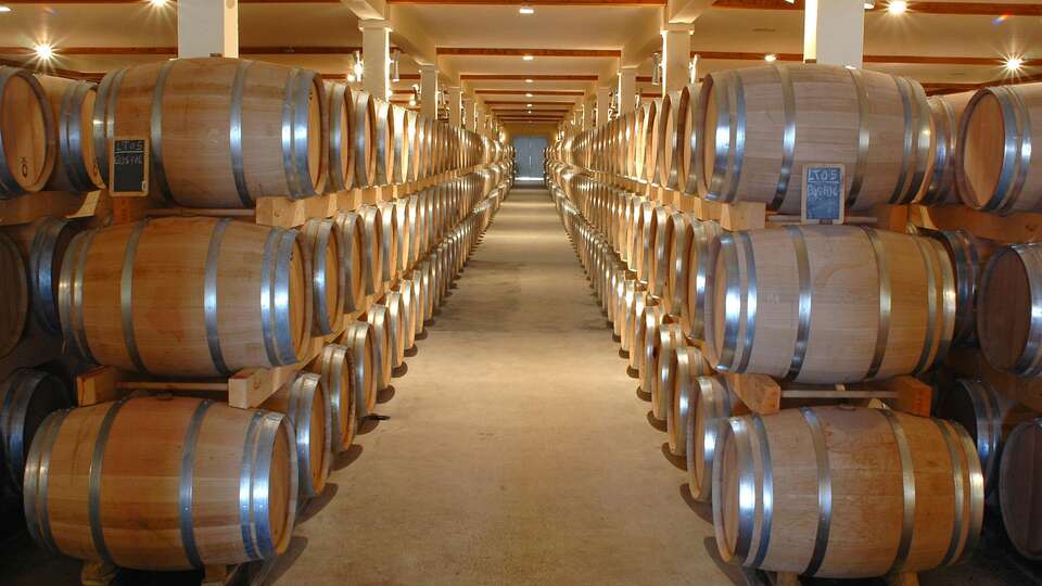 Escapada entre vinedos con Visita a Bodega en un entorno inmejorable