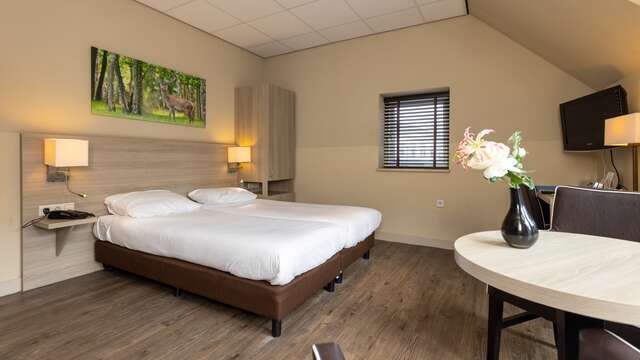 comfort Tweepersoonskamer met stadszicht