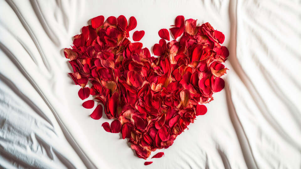 Novotel Avignon Centre