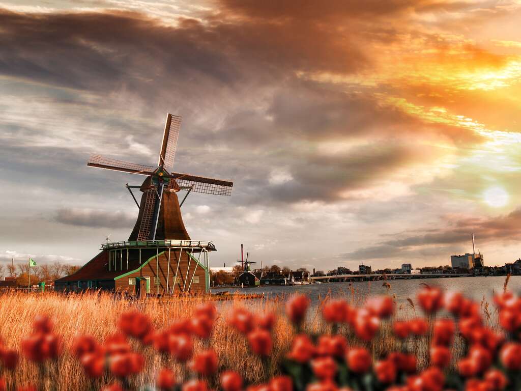 Découvrez toute la beauté de Zaandam et de Keukenhof - 4* - 1