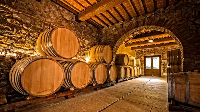Estancia de ensueño entre viñedos con visita el monasterio y cata de vinos en Poblet
