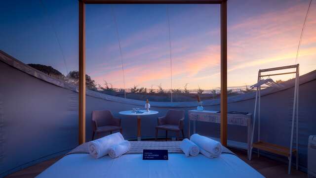 suite standard 