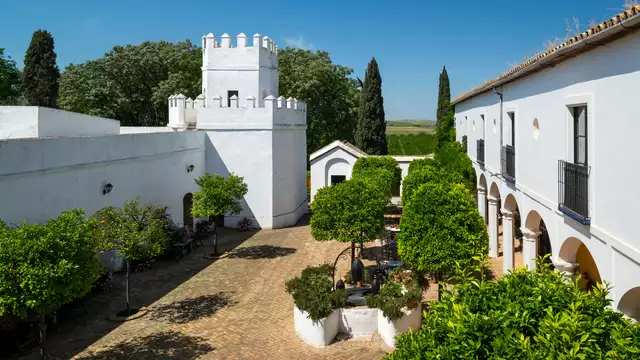 Escapada romántica en habitación Junior Suite con copa de cava