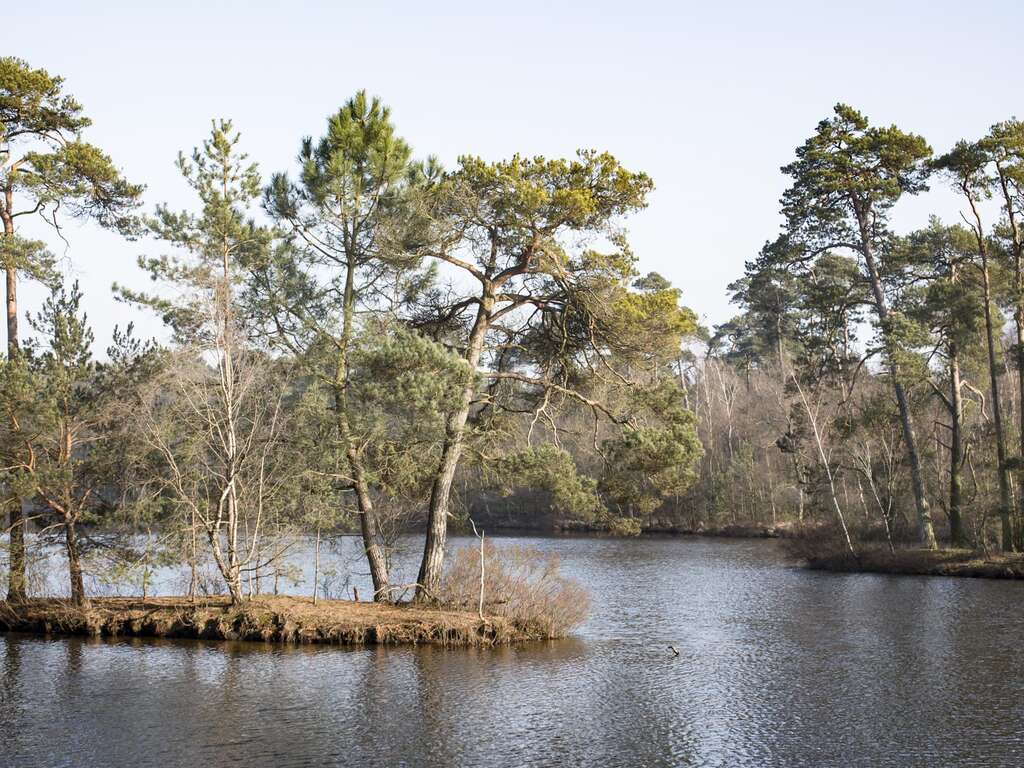 Repos et confort près de Tilburg - 4* - 9