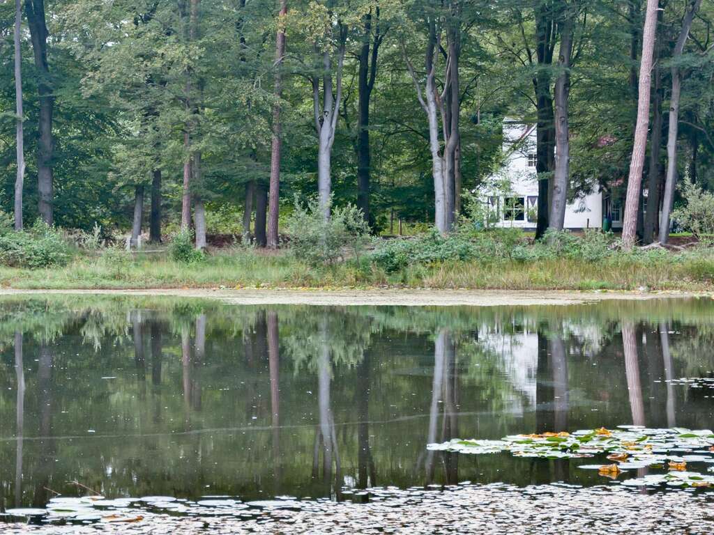 Repos et confort près de Tilburg - 4* - 1