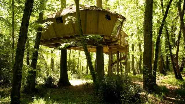Escapada en los árboles con acceso a Futuroscope (35 minutos)