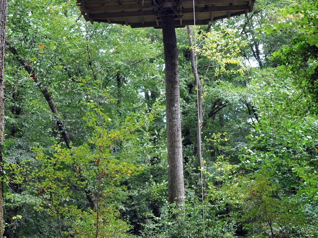 Nuit insolite en lodge perché dans les arbres à 30mn du Futuroscope ! - 2* - 16