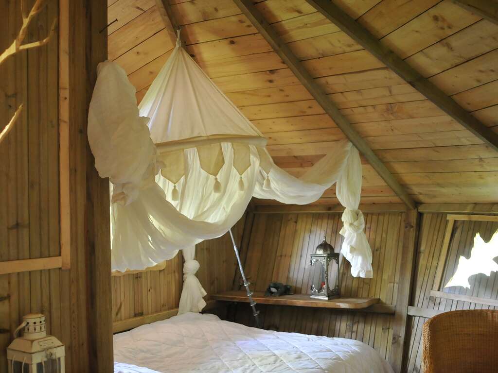 Nuit insolite en lodge perché dans les arbres à 30mn du Futuroscope ! - 2* - 4