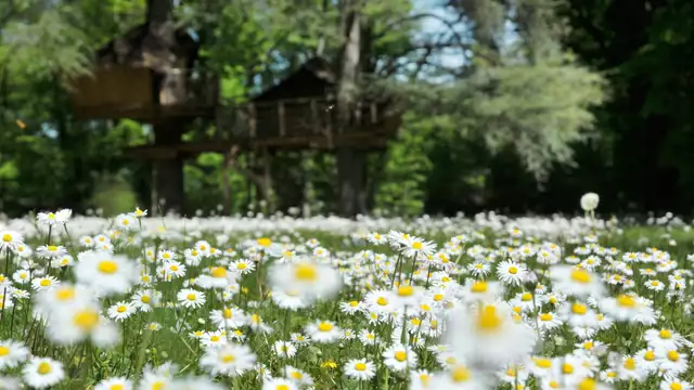 Parc de la Belle