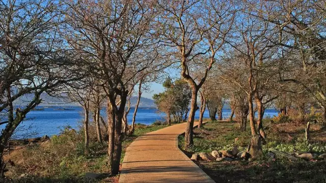 Escapada con desayuno en un entorno natural de las Rías Baixas