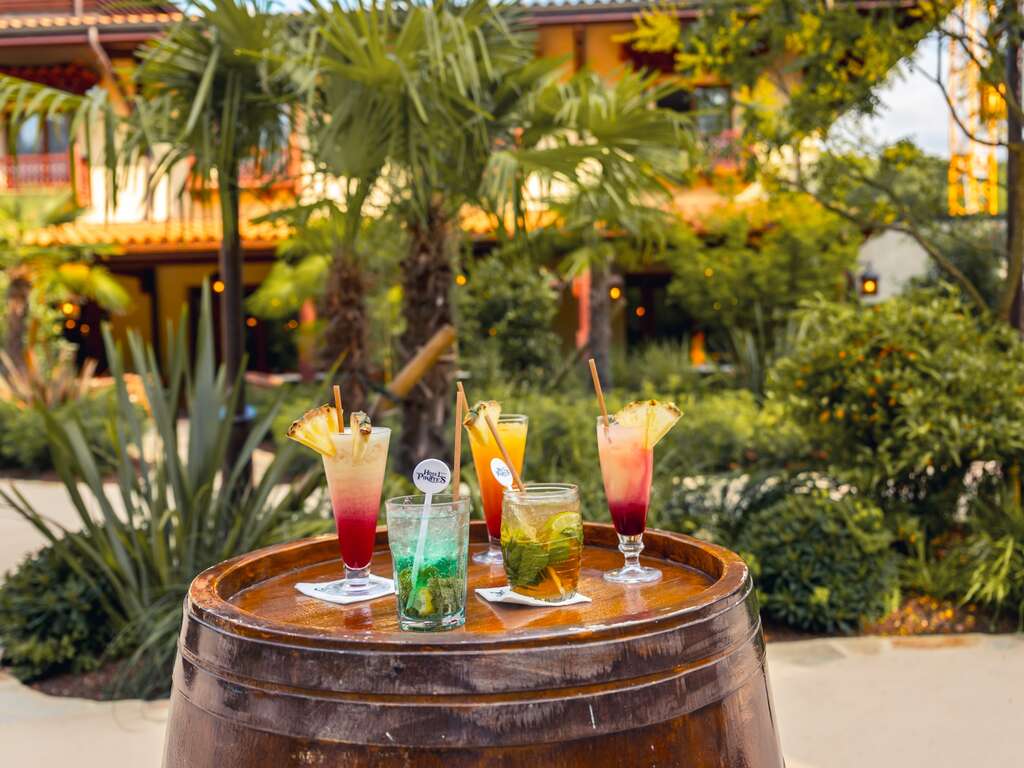 Séjour À Deux Avec Dîner Et Entrées À Nigloland ! - 4* (ref 476)