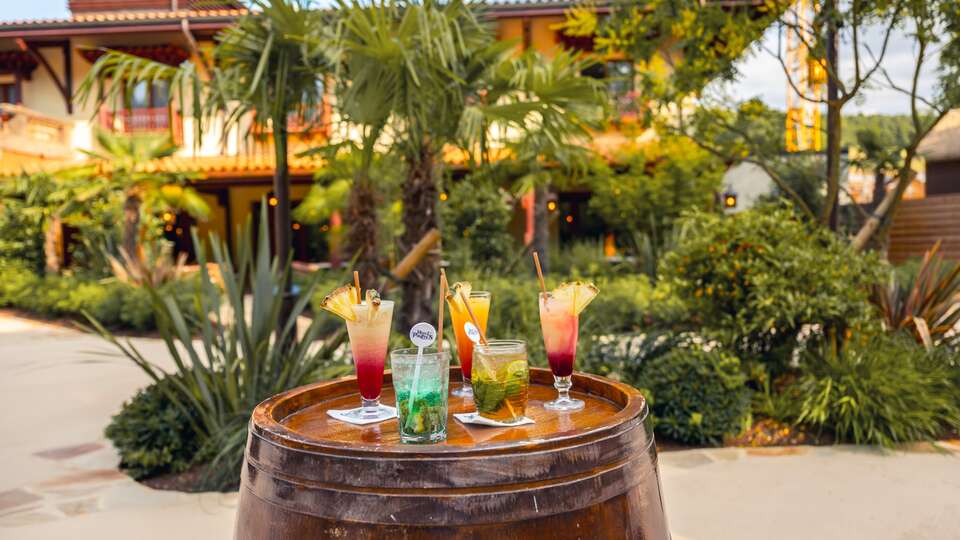 Diversion asegurada en el parque Nigloland y cena buffet en Dolancourt