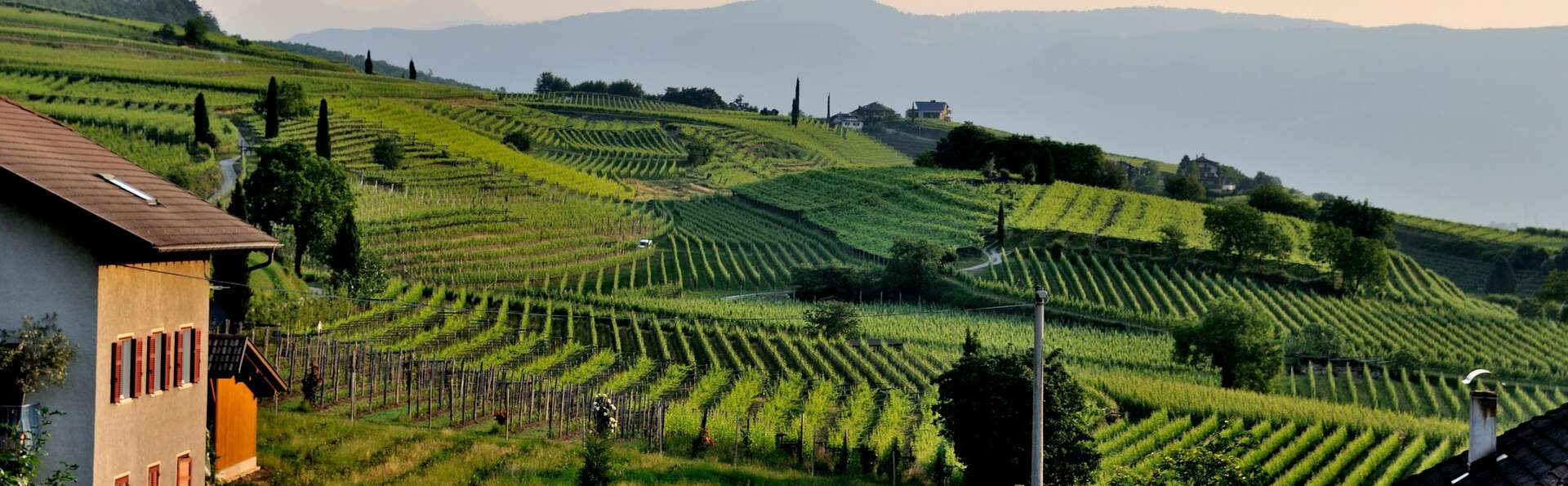 Savourez les produits typiques d'une cave toscane