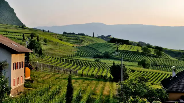 Savourez les produits typiques d'une cave toscane
