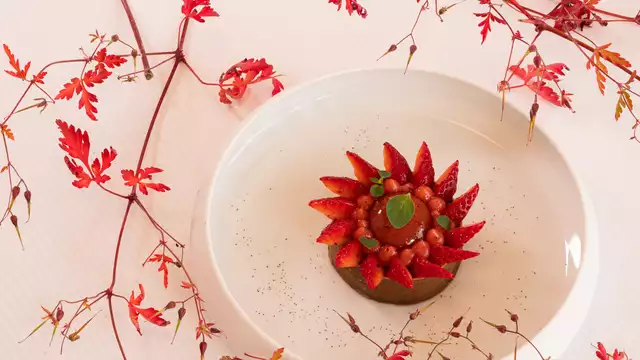 Cena gastronomica stellata a 3 ore da Parigi, Normandia