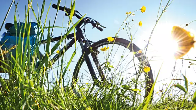 Descubrir la zona fluvial de Gorinchem en bicicleta