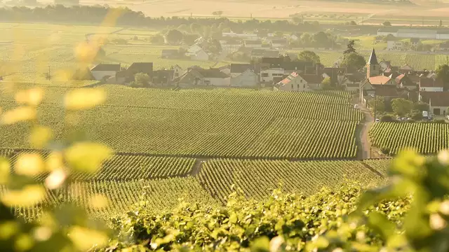 Weekend in Le Nid du Domaine des Prés Verts