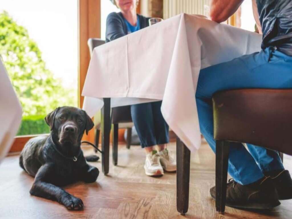 Allemagne - Rhénanie-Palatinat - Langweiler - Plaisir et détente dans un magnifique hôtel spa à 2 heures de Metz - 3*